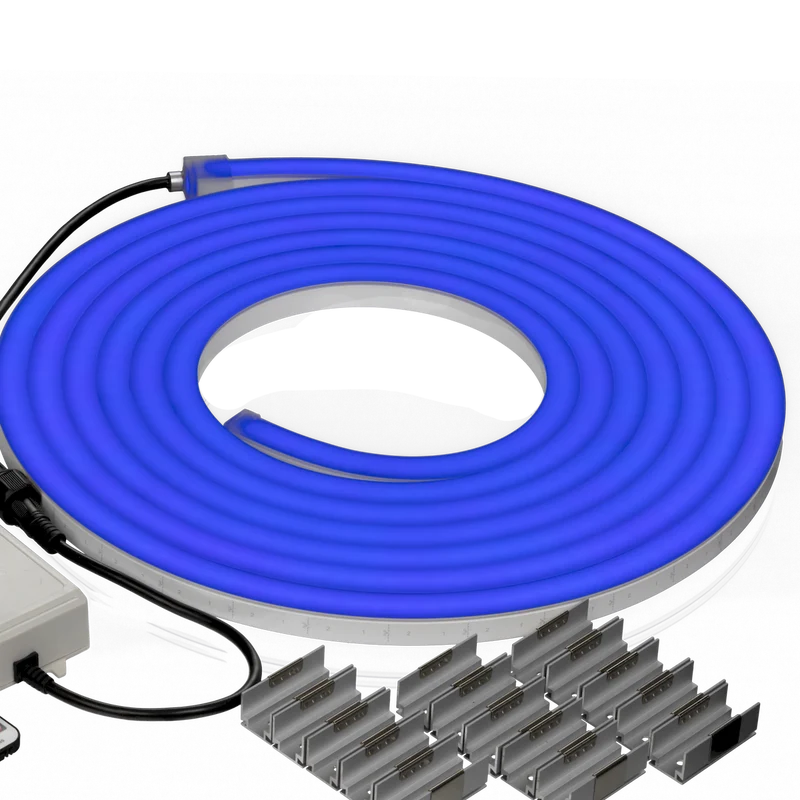 Neonflex 12V AC RF Kit